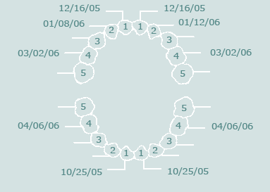 tooth chart